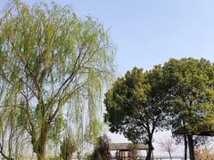 -阳澄湖半岛旅游度假区