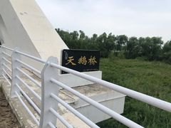-卧龙湖