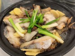 -波记美食店·现捞海鲜