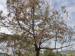 -中国移动南方基地