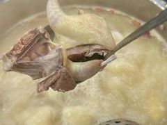 -鸽鸟轩(石岐店)