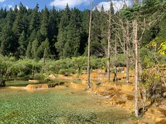 -黄龙山原始森林景区