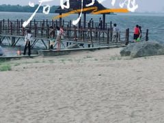 -瑶湖郊野森林公园