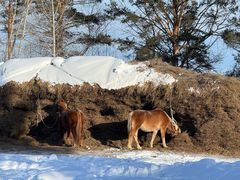 -北极村旅游风景区