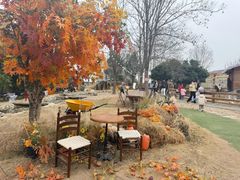 -HERRE·FARM 赫尔露营农场·团建聚会包场