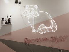 -浣熊柯尔鸭土拨鼠·电玩咖
