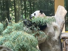 -杭州野生动物世界