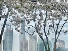 -北外滩滨江绿地