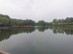 -东郊湿地公园