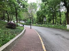 -重庆彩云湖湿地公园
