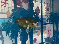 -深圳麦芽口腔医院(罗湖总院)