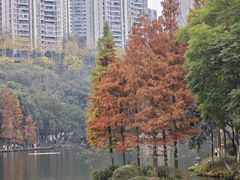 -重庆彩云湖湿地公园