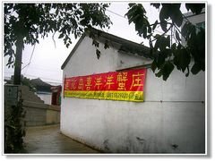 -喜洋洋蟹庄(阳澄湖店)