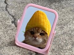 -华村烧烤(翠湖天地店)