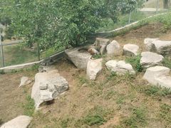 -南山公园