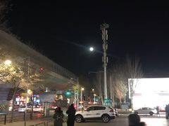 -吉野家(东陵西路店)