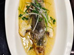 清蒸黄鱼-上海虹桥宾馆味翠餐厅