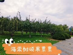 -太阳宫公园