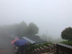-江南天池