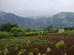-南京市无想山景区