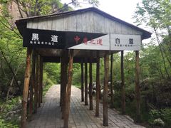 -青峰峡国家森林公园