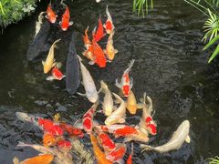 -聚福宝合苑食府(南头镇店)