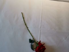 -宜必思酒店(扬州文昌阁店)