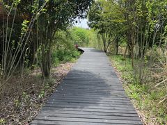 -梁鸿国家湿地公园