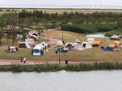 -春花秋色城市公园