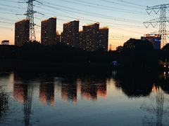 -九里河湿地公园