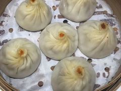 -小杨生煎(深圳岗厦北店)
