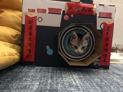 -70cat德文卷毛猫·缅因猫纯种猫舍