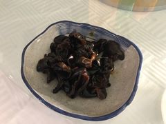 -成都世纪城假日酒店-西楼