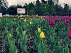 -长春公园(普阳街道)