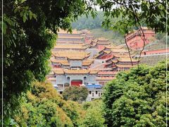 -东莞市大岭山森林公园