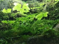 -陶祖圣境风景区