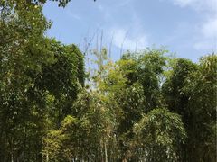 -新江湾城公园