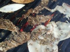 烤肉-大槐树烤肉馆