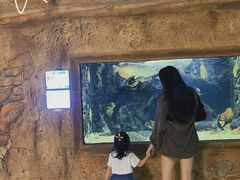 -华夏文旅海洋公园