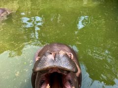 -贵州森林野生动物园