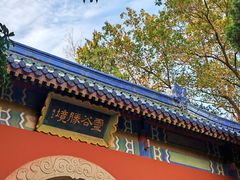 -灵谷景区