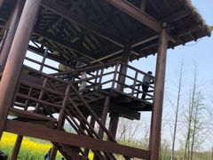 -长田漾湿地公园