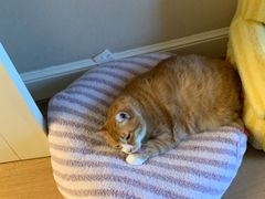 -闪电修企业手机电脑回收(西湖风景名胜区店)