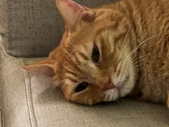 -老于餐厅(民生路店)