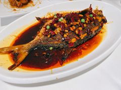 -金春禧(英雄山路旗舰店)