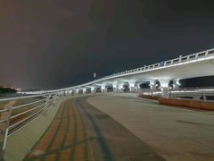 -演武大桥观景平台