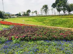 -光明小镇欢乐田园
