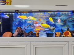 -华声天桥民俗文化园