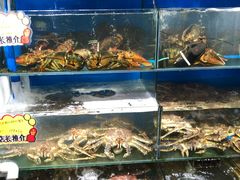 水产区-蚝专家(北滘店)