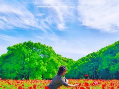 -上海共青森林公园